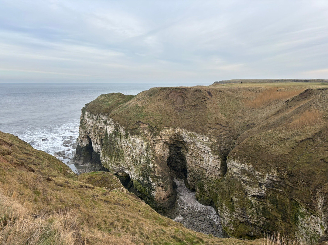 Rspb Bempton Cliffs-Bempton必去景点