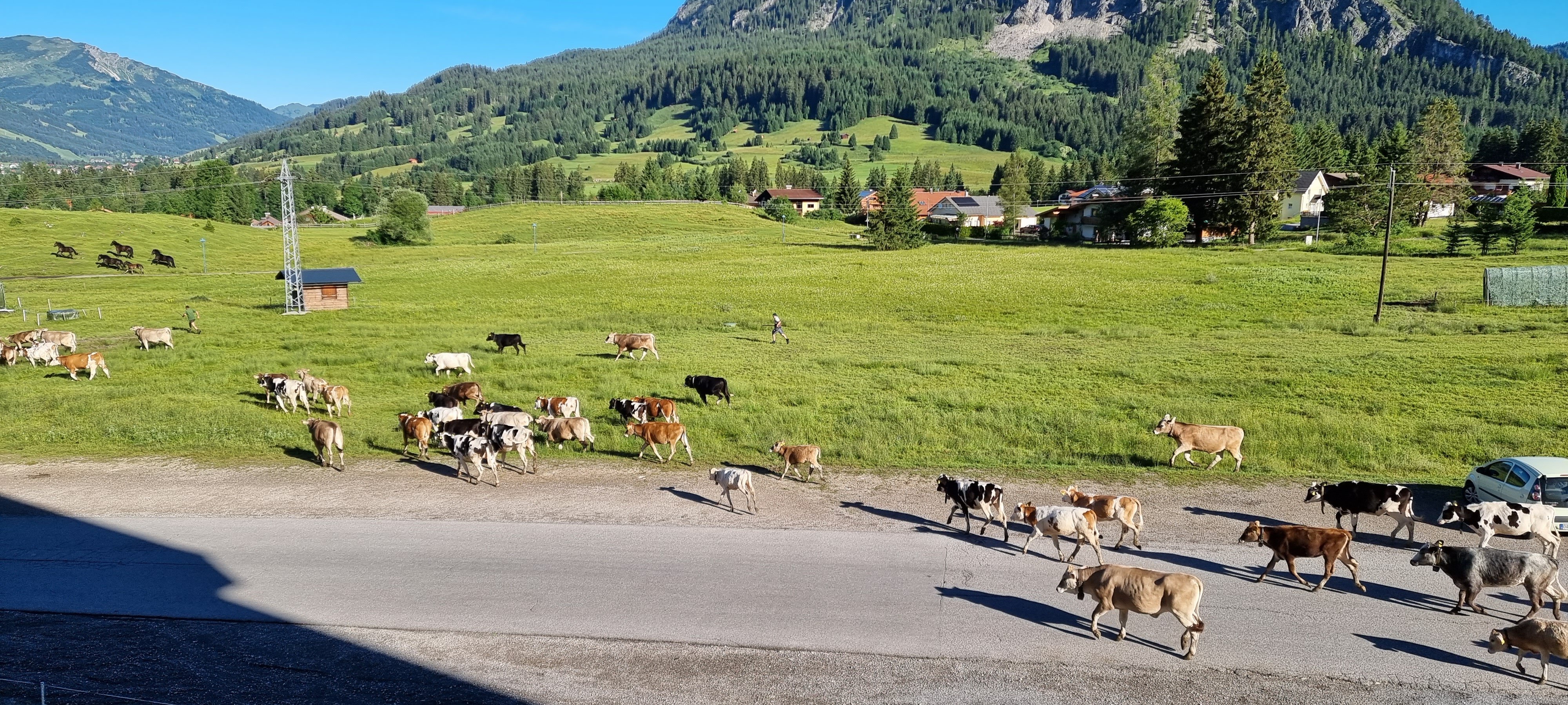 Hotel Sonnenhof-酒店景观