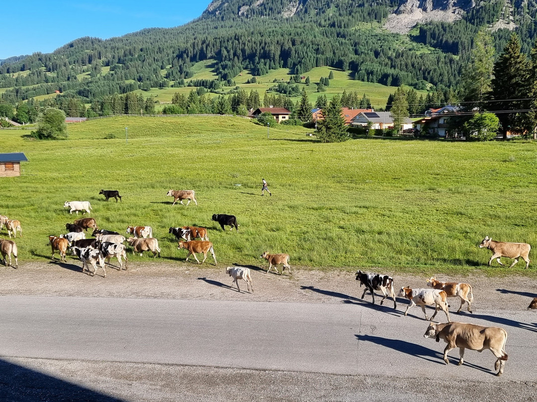 Hotel Sonnenhof主图