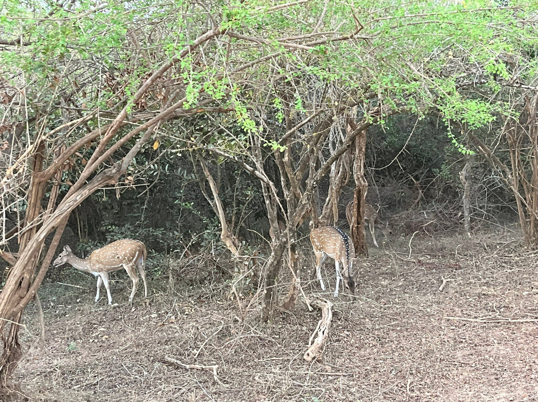 Vialanka Travels-Rajagiriya必去景点