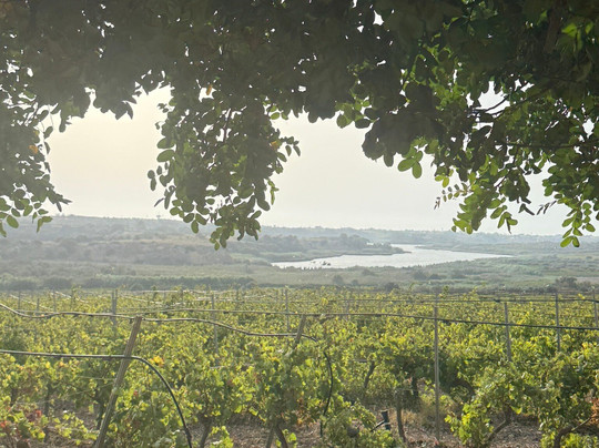 Baglio Aimone-马扎拉－德尔瓦洛必去景点