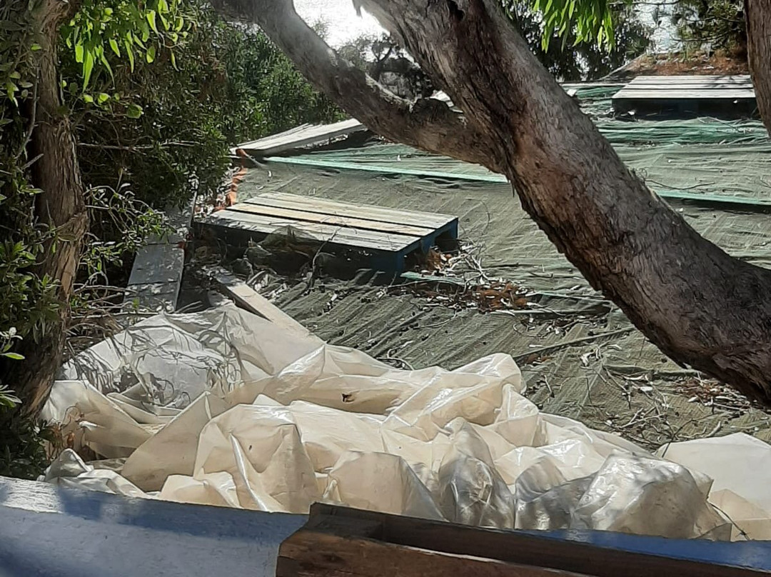 Poseidon Blue Gastronomy Hotel主图