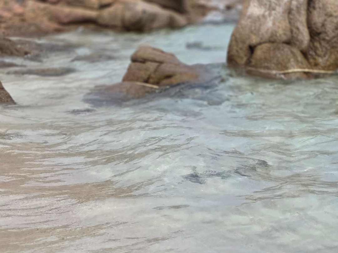 Veliero Dolce Vita-Maddalena Islands必去景点
