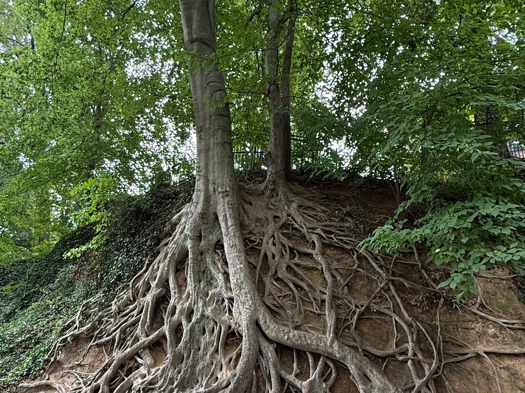 GHS Swamp Rabbit Trail-格林维尔必去景点