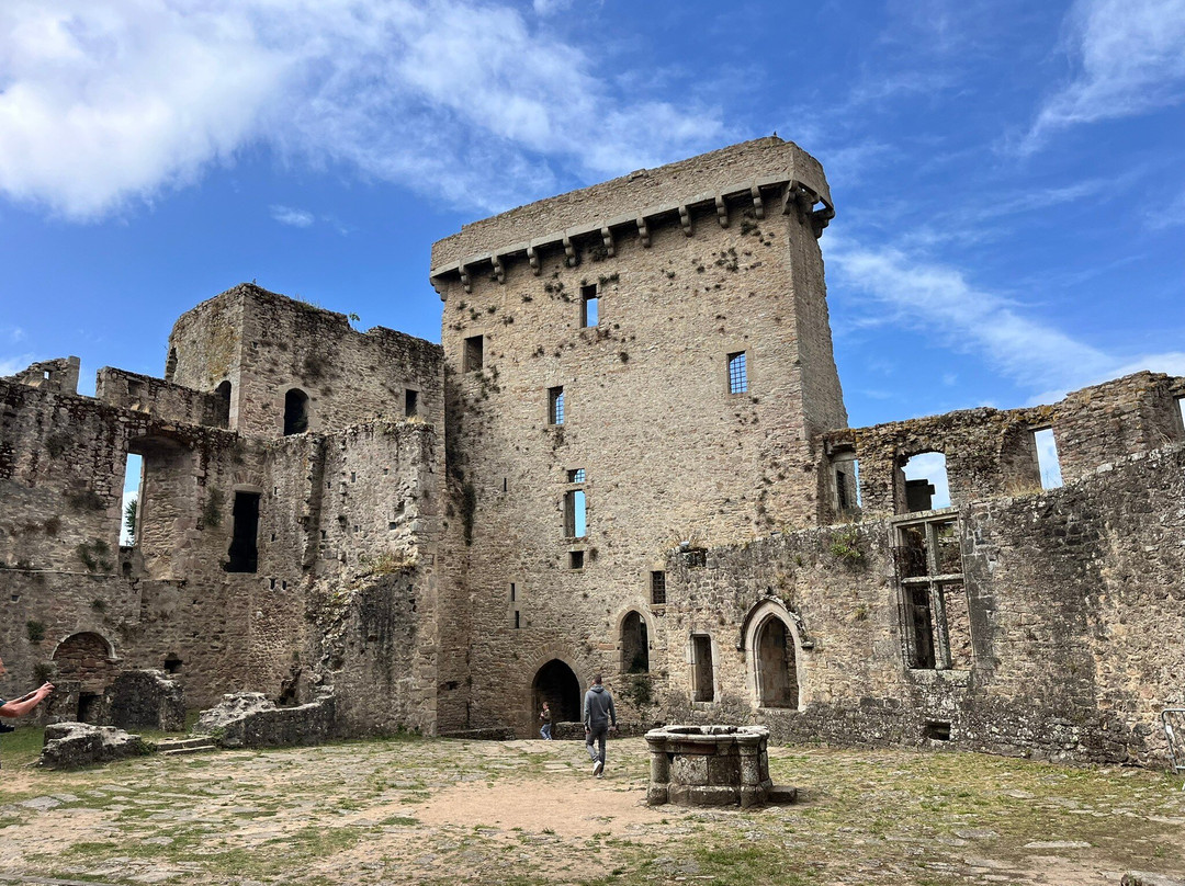 Chateau de Clisson-Clisson必去景点