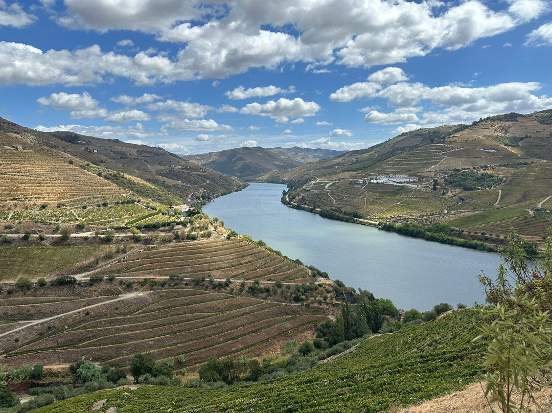 Quinta do Crasto-Sabrosa必去景点