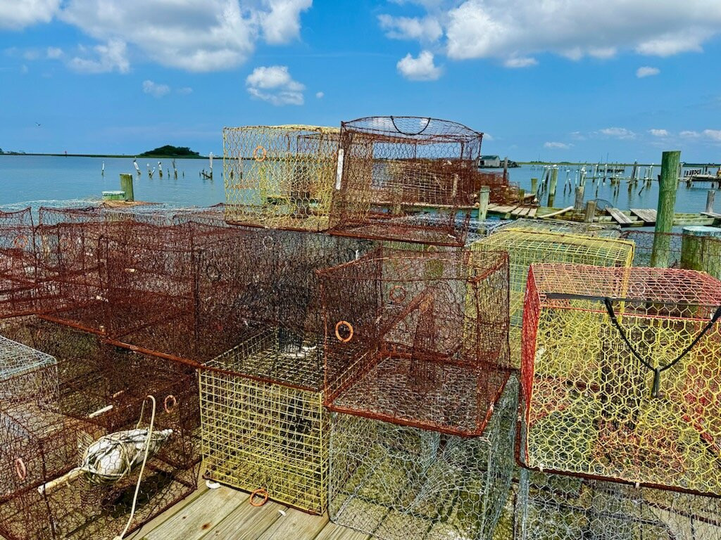 Experience Smith Island-Crisfield必去景点