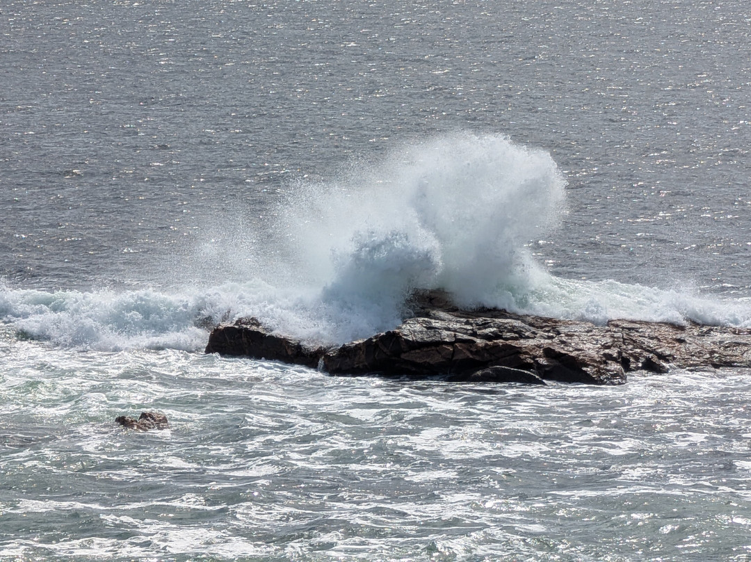 Freewheeling Adventures-Hubbards必去景点