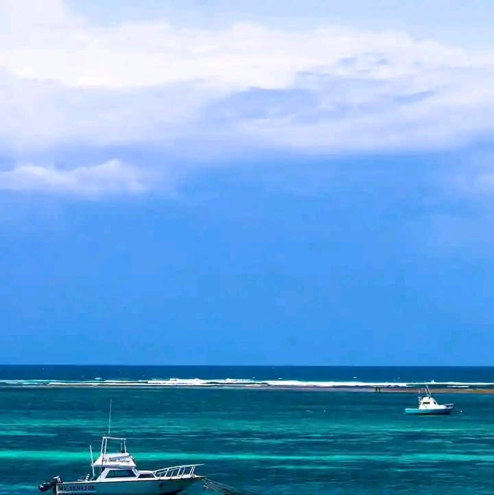 Diani By Day Tours-迪亚尼必去景点