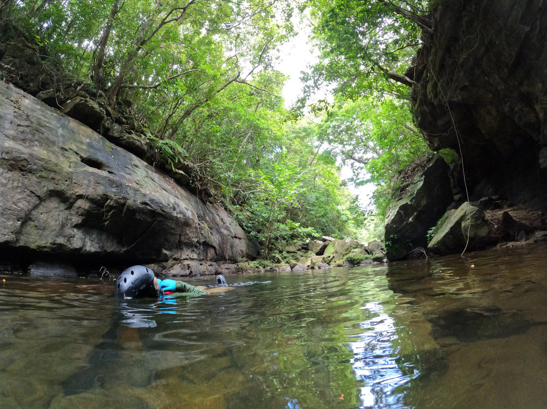Motti Iriomote Island Trekking Eco Tour-竹富町西表岛必去景点