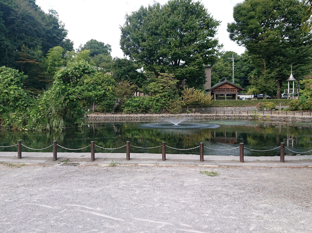 Akatsuka Tameike Park-板桥区必去景点