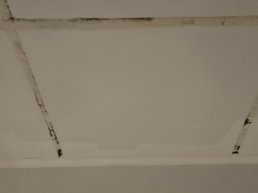 Dorint Seehotel Binz Therme Ruegen主图