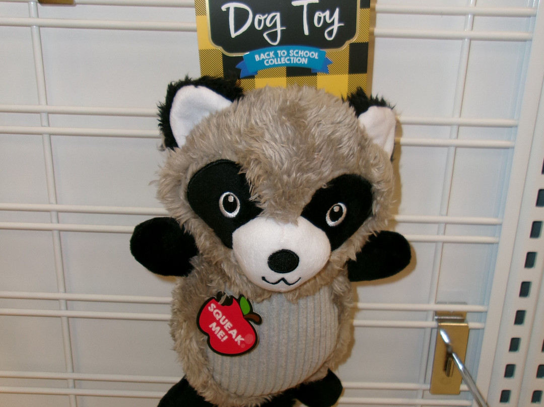 Kohl's-Newington必去景点