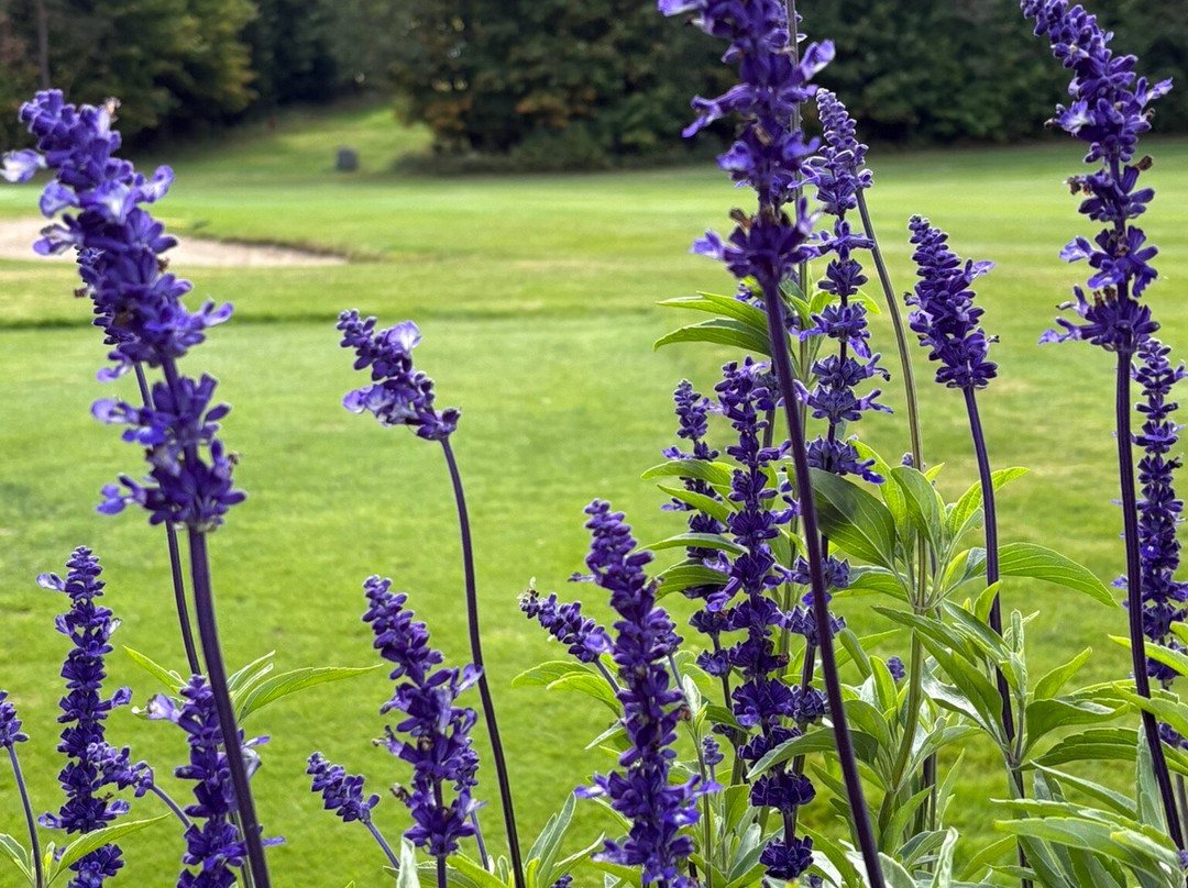 Whiteface Golf Club-普莱西德湖必去景点