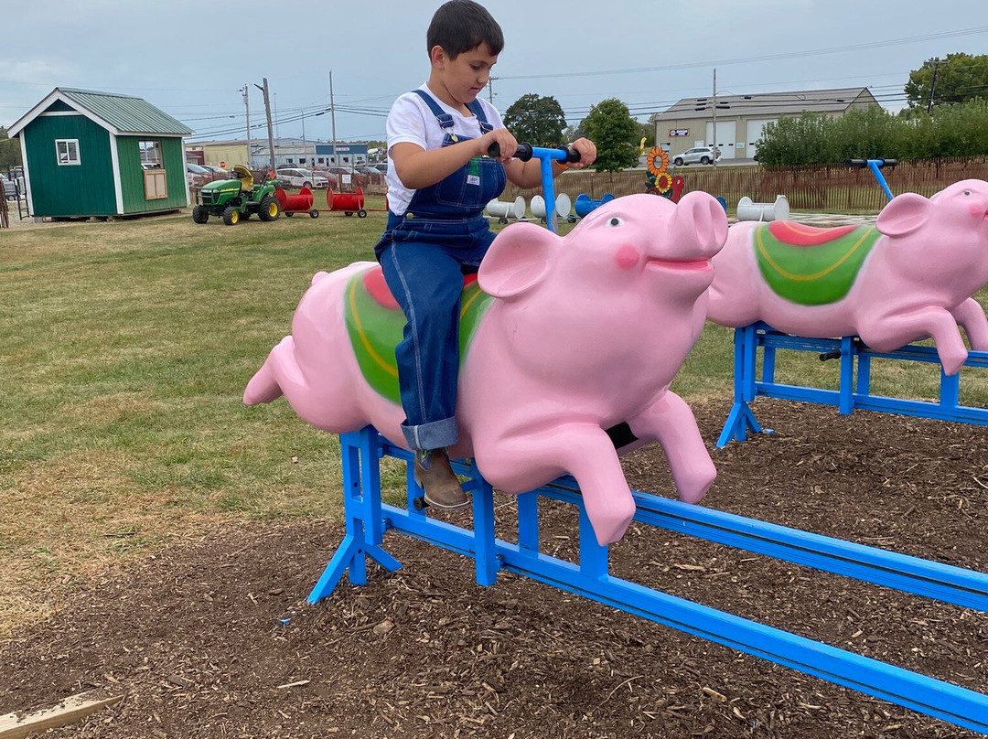 Today's Harvest-New Paris必去景点