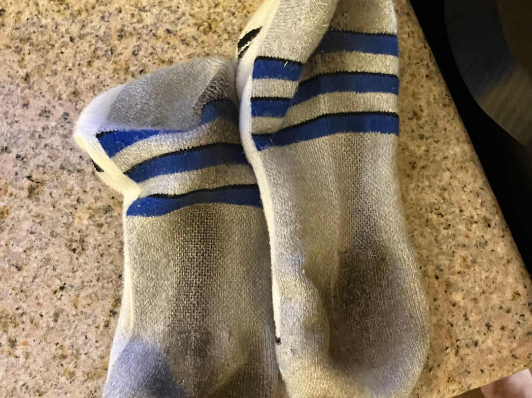 葛底斯堡1863旅馆主图