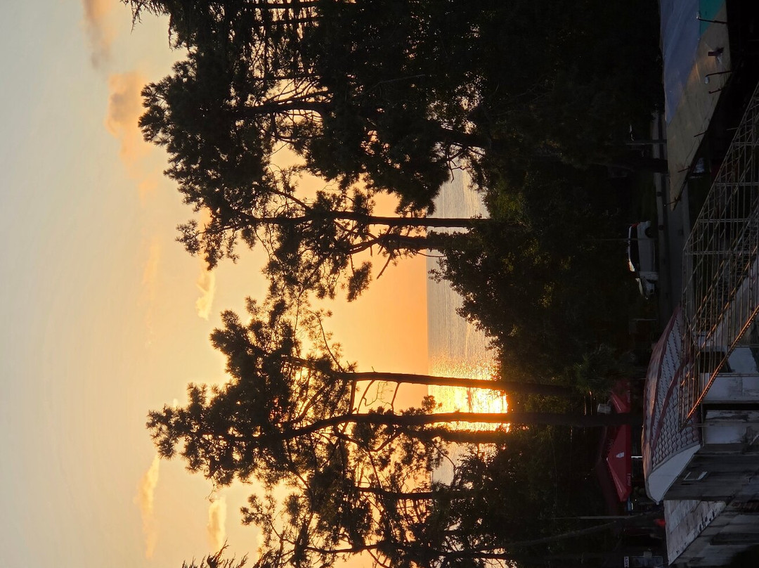 Magnetic Resort Ureki