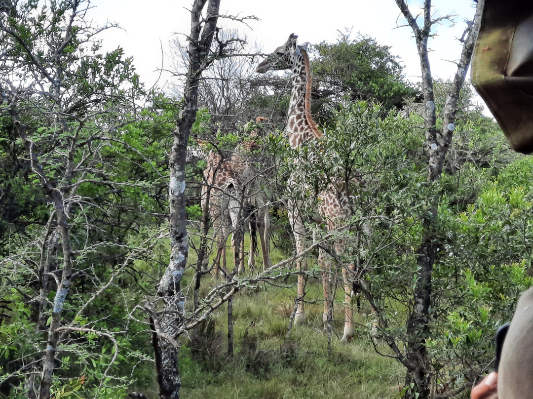 Big 5 Africa Tours-Bobingen必去景点