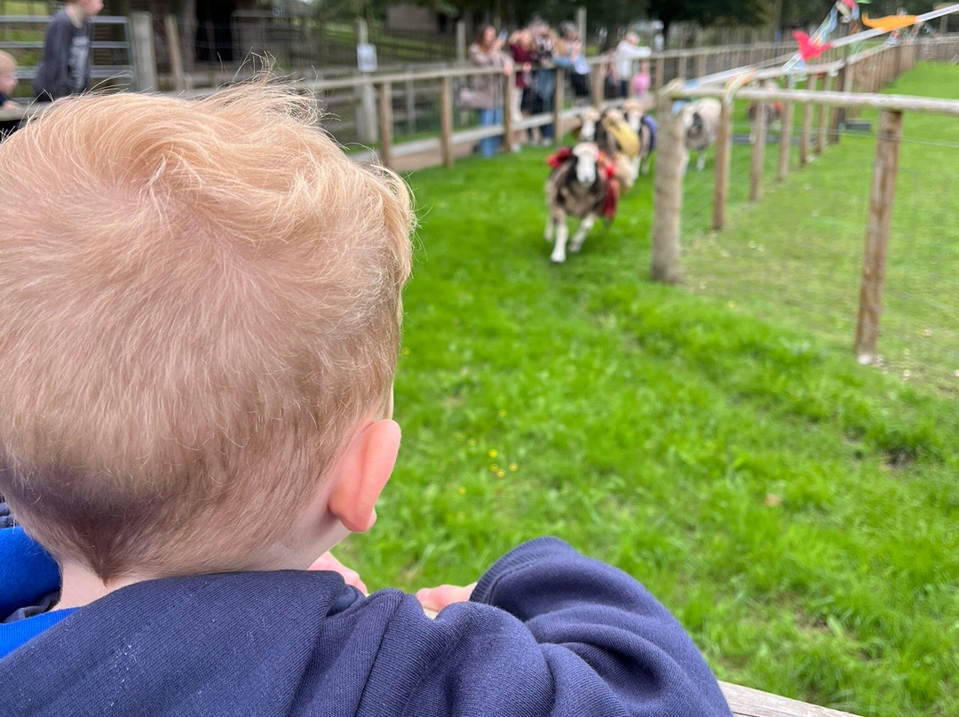 Willows Activity Farm-London Colney必去景点