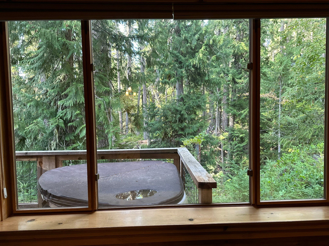 LOGE Alta Crystal主图