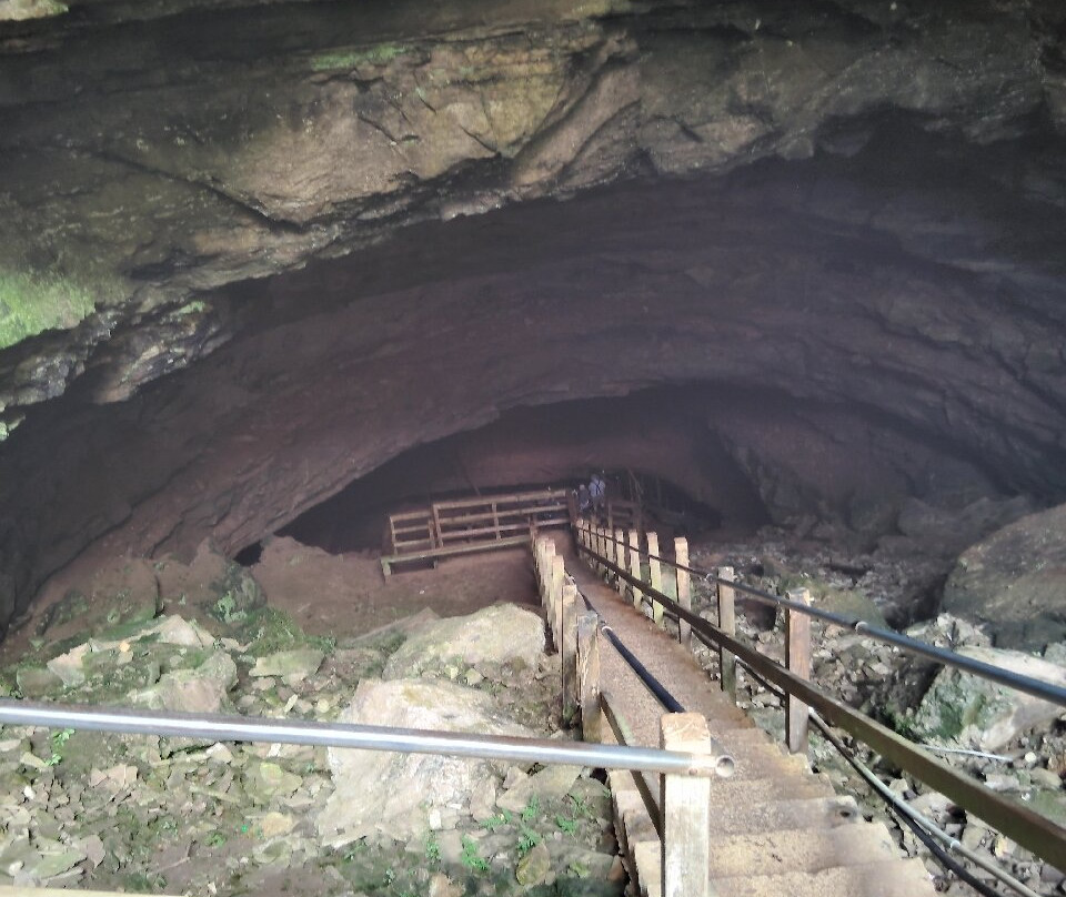 Hidden River Cave and American Cave Museum-Horse Cave必去景点