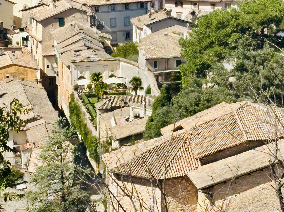 Palazzo Leti Residenza D'Epoca主图