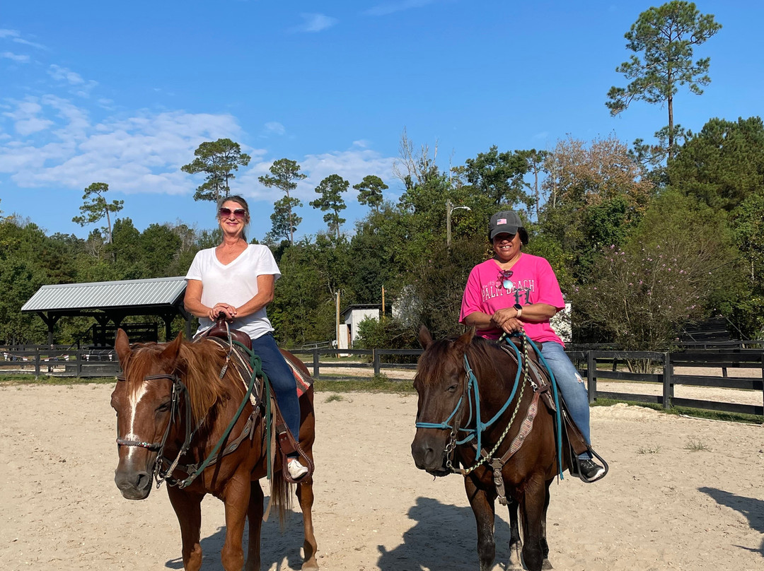 Splendor Farms-Bush必去景点