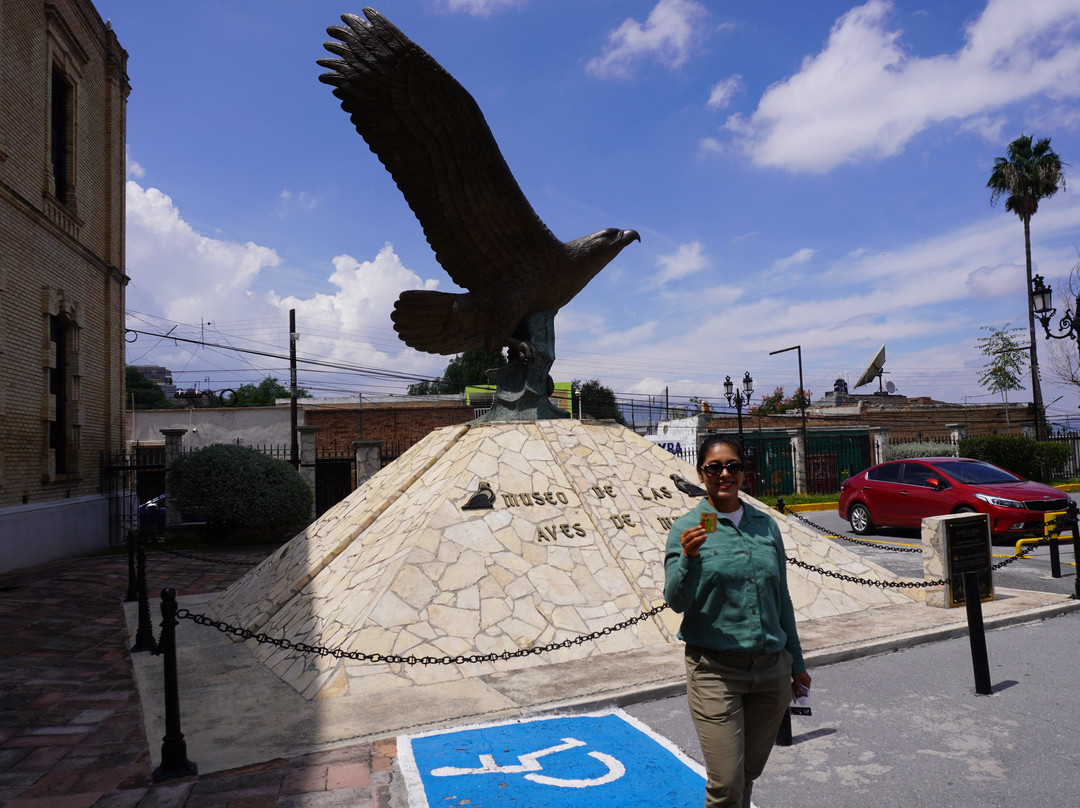 Museo de las Aves-萨尔蒂必去景点