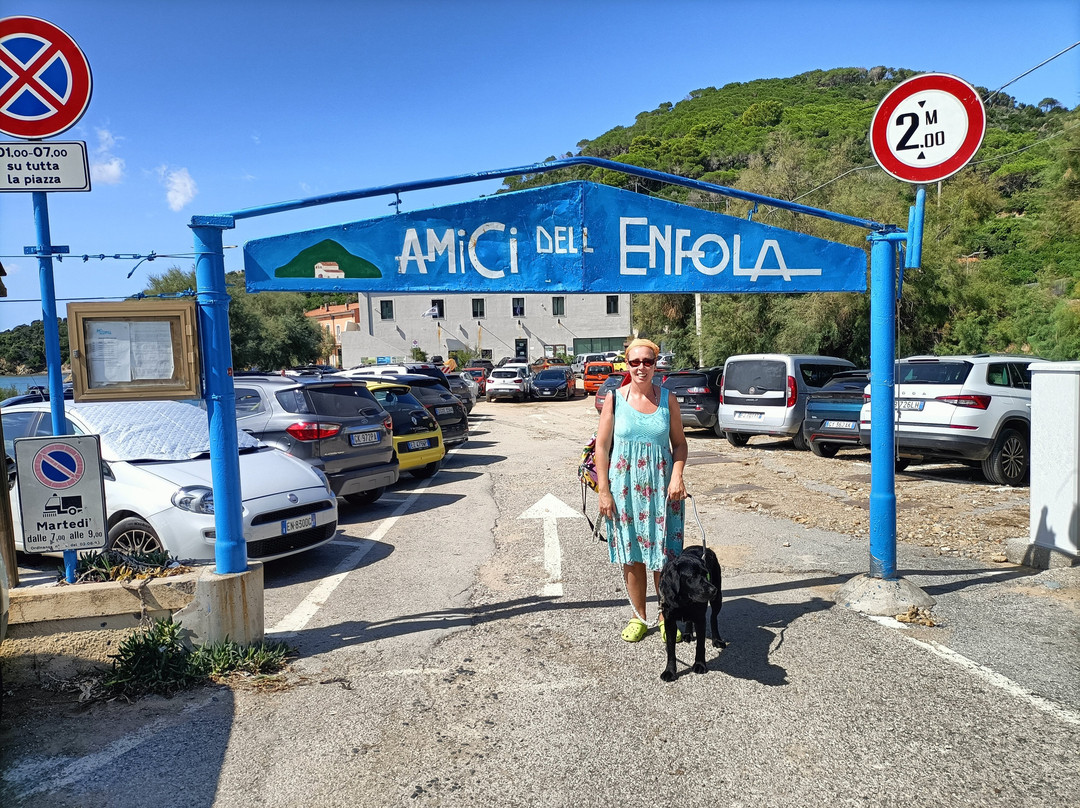 Enfola Diving Center-费拉约港必去景点