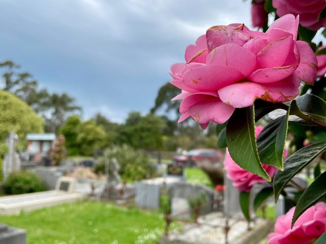 Meeniyan Cemetery-Meeniyan必去景点