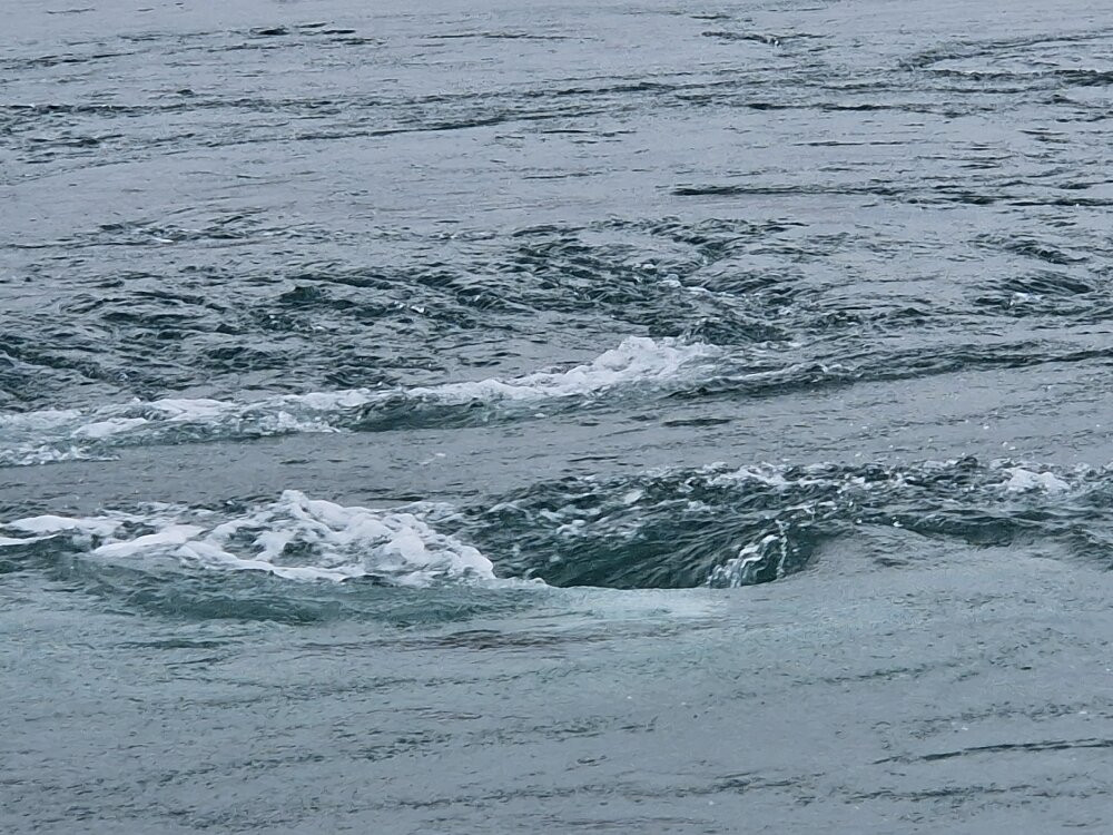 Islay Sea Adventures-Port Ellen必去景点