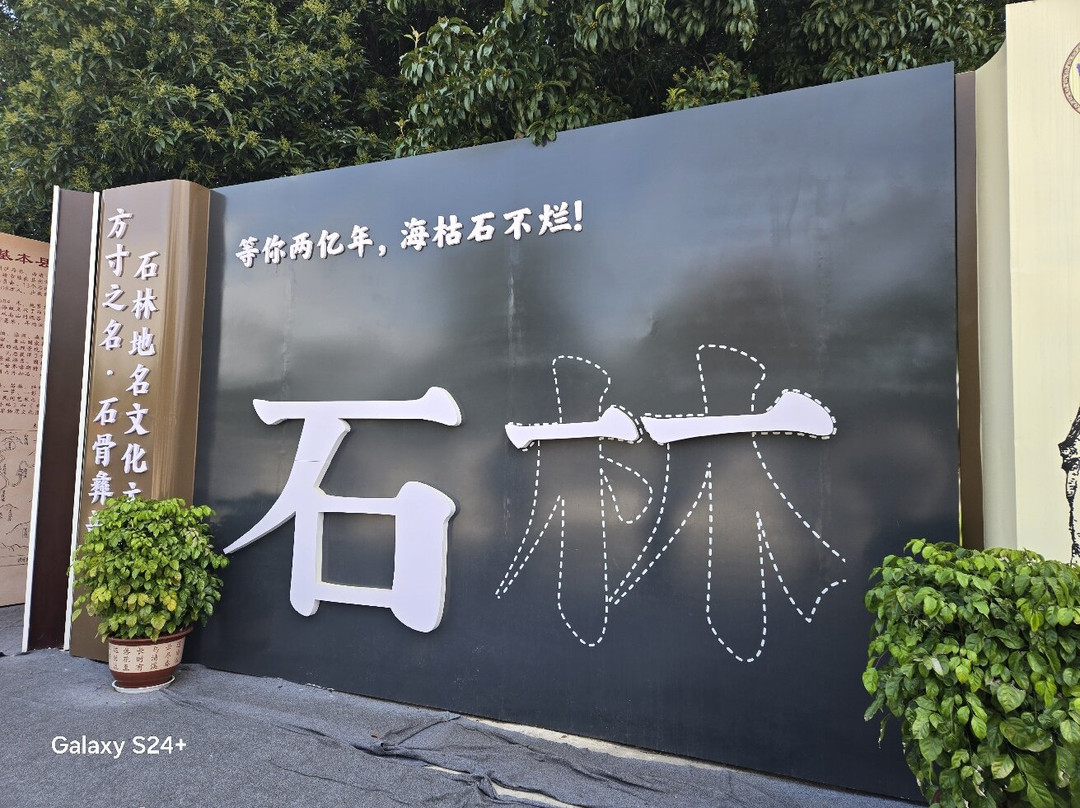 石林风景区-石林彝族自治县必去景点