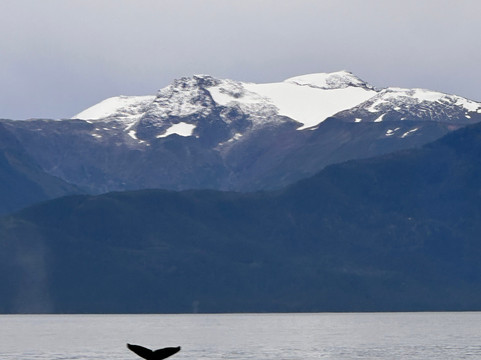 Alaska Tales-朱诺必去景点