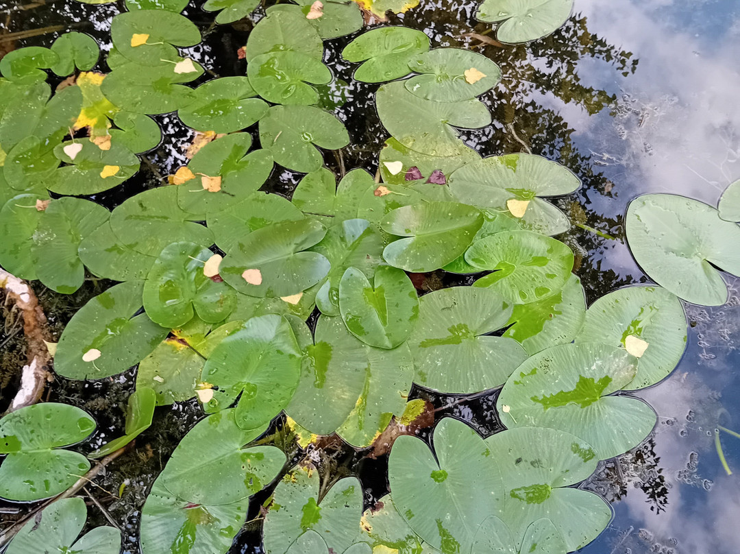 Lago di Santa Maria-Revine Lago必去景点