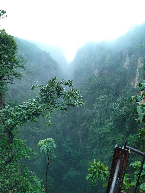 Nature And Beyond-瓦都达拉必去景点