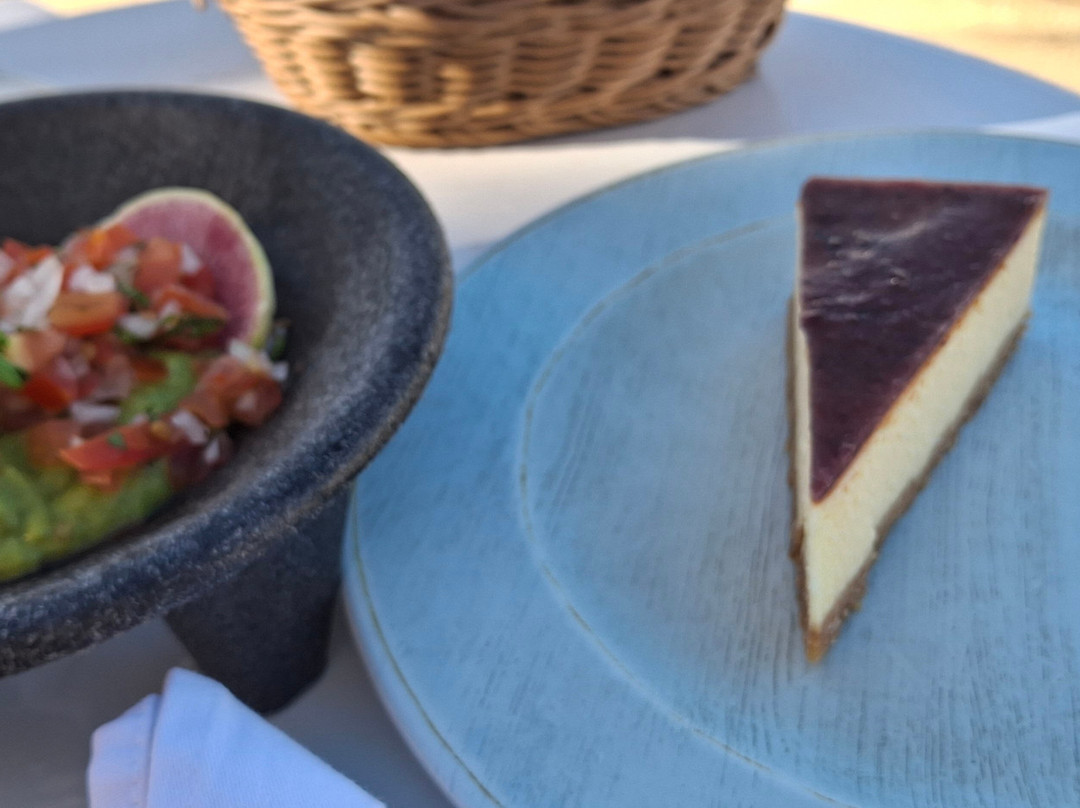 The Roof 28 - At The Reef 28-普拉亚德尔卡曼必去景点