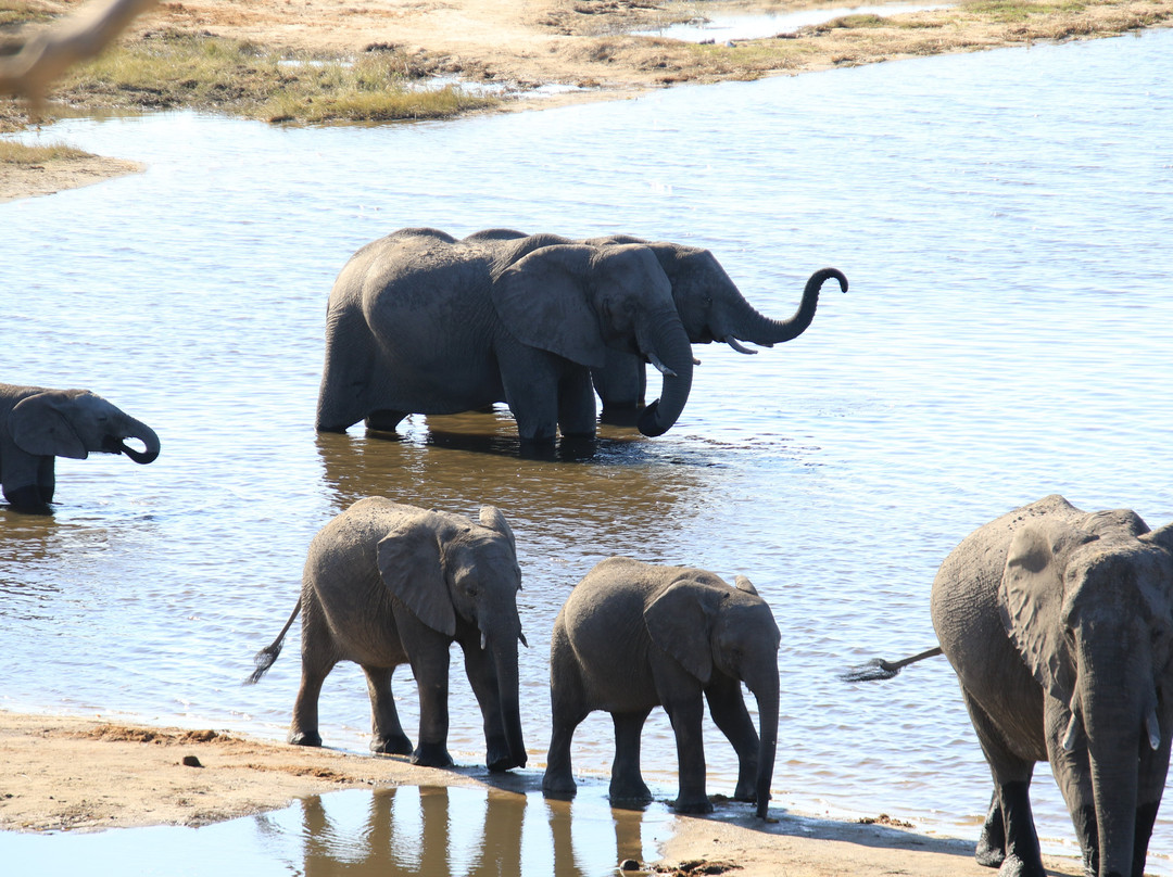 Go Safari-约翰内斯堡必去景点