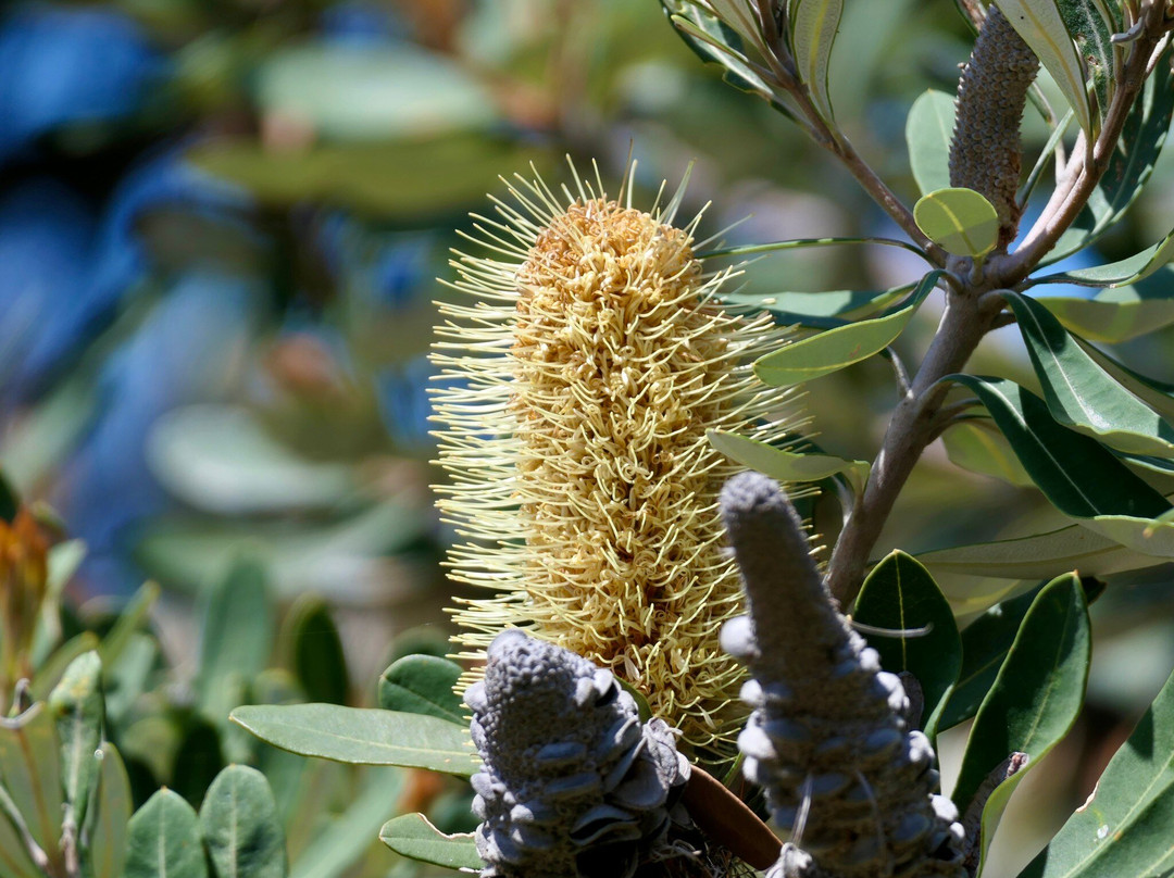 Fraser Experience Tours-赫维湾必去景点