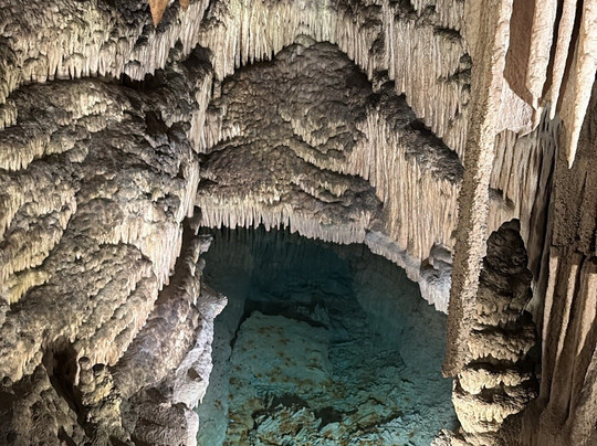 Lemon Tours-马洛卡帕尔马必去景点