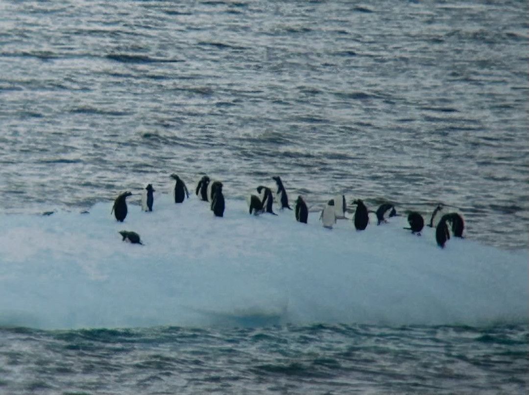 Bahia Paraiso-Antarctic Peninsula必去景点