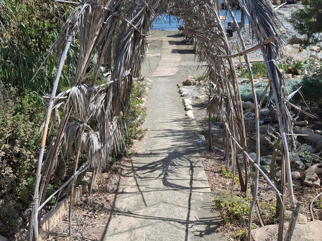 Maia Beach-Agios Theodoros必去景点