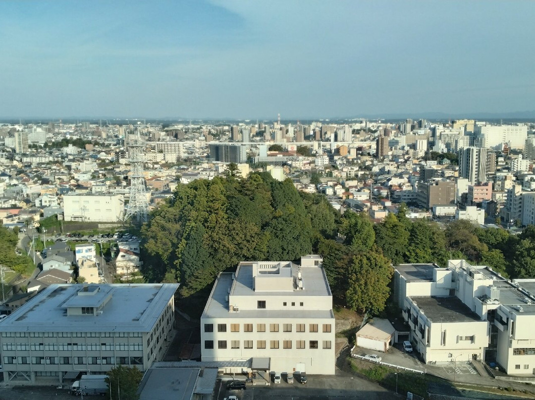 Tochigi Prefectural Office-宇都宫市必去景点