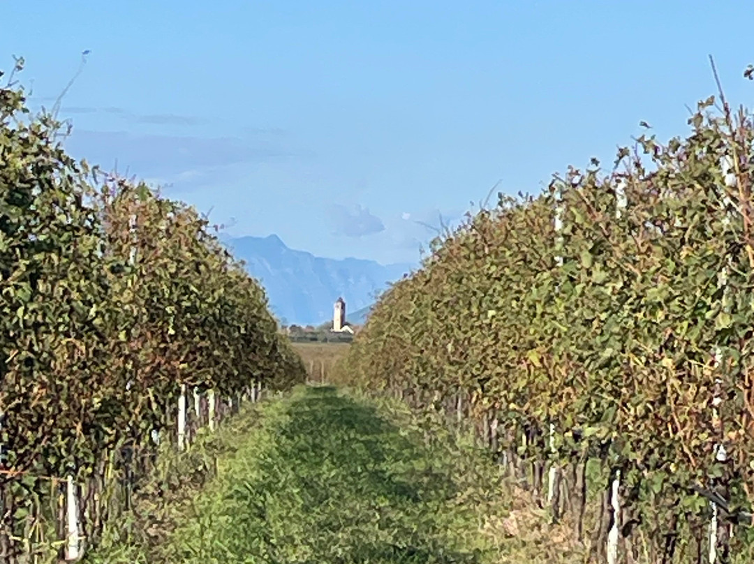 Winery Podere Selva Capuzza-代森扎诺-德尔加达必去景点
