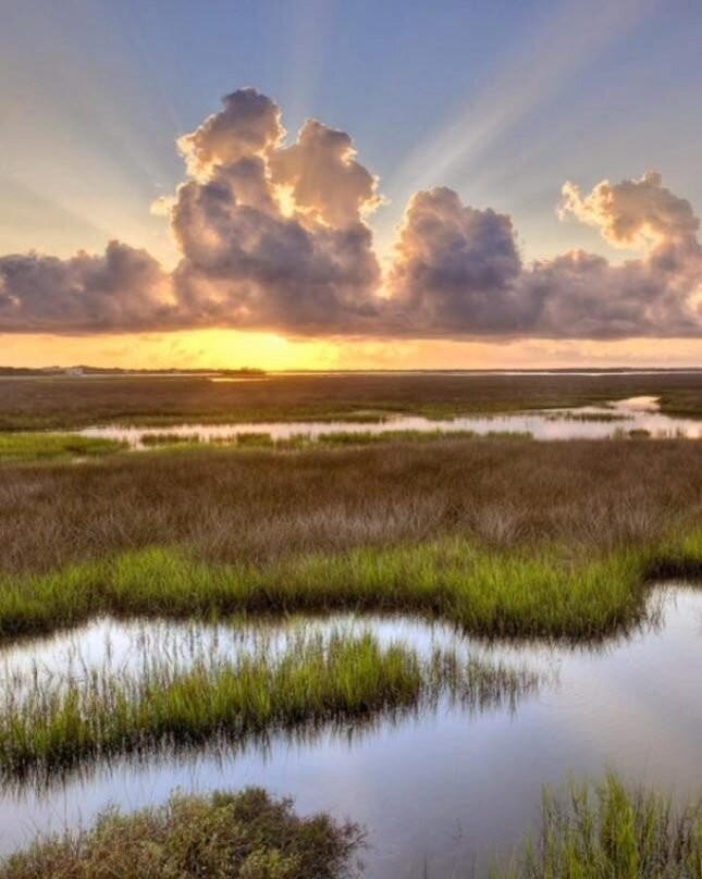 North Florida Fishing Charters-杰克逊维尔必去景点