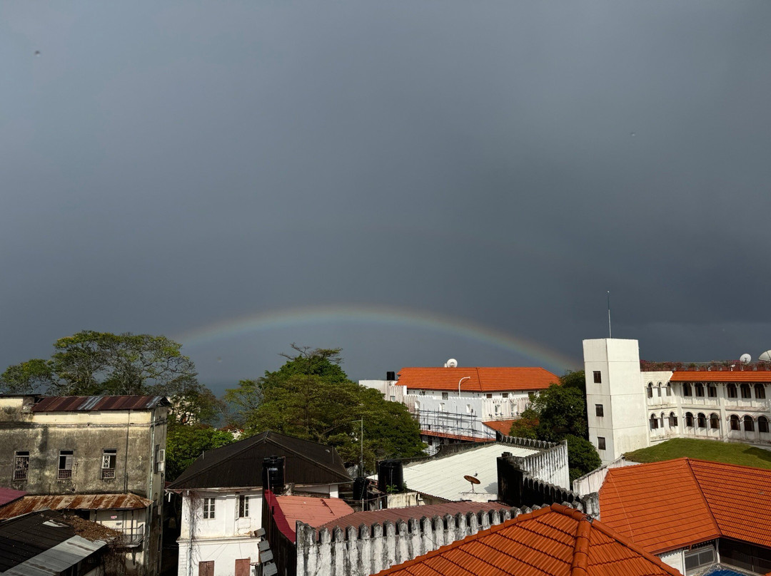 Spice Tree by Turaco主图