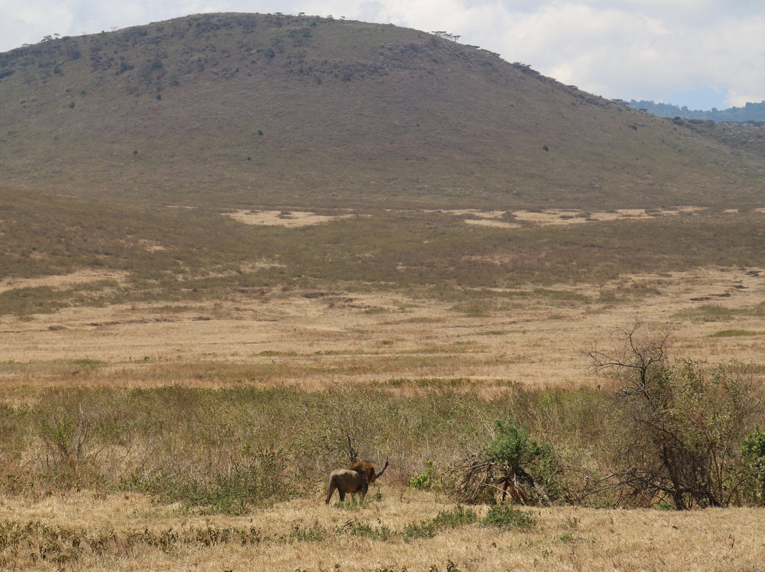Shrike Safaris-姆万扎必去景点