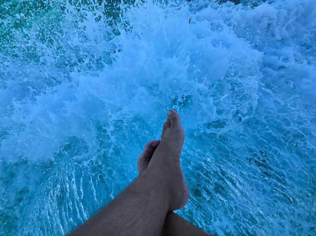 Stuart Cove's-拿骚必去景点