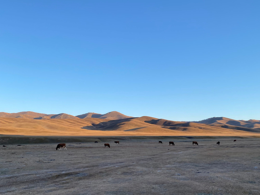 Azur Travel Mongolia-乌兰巴托必去景点