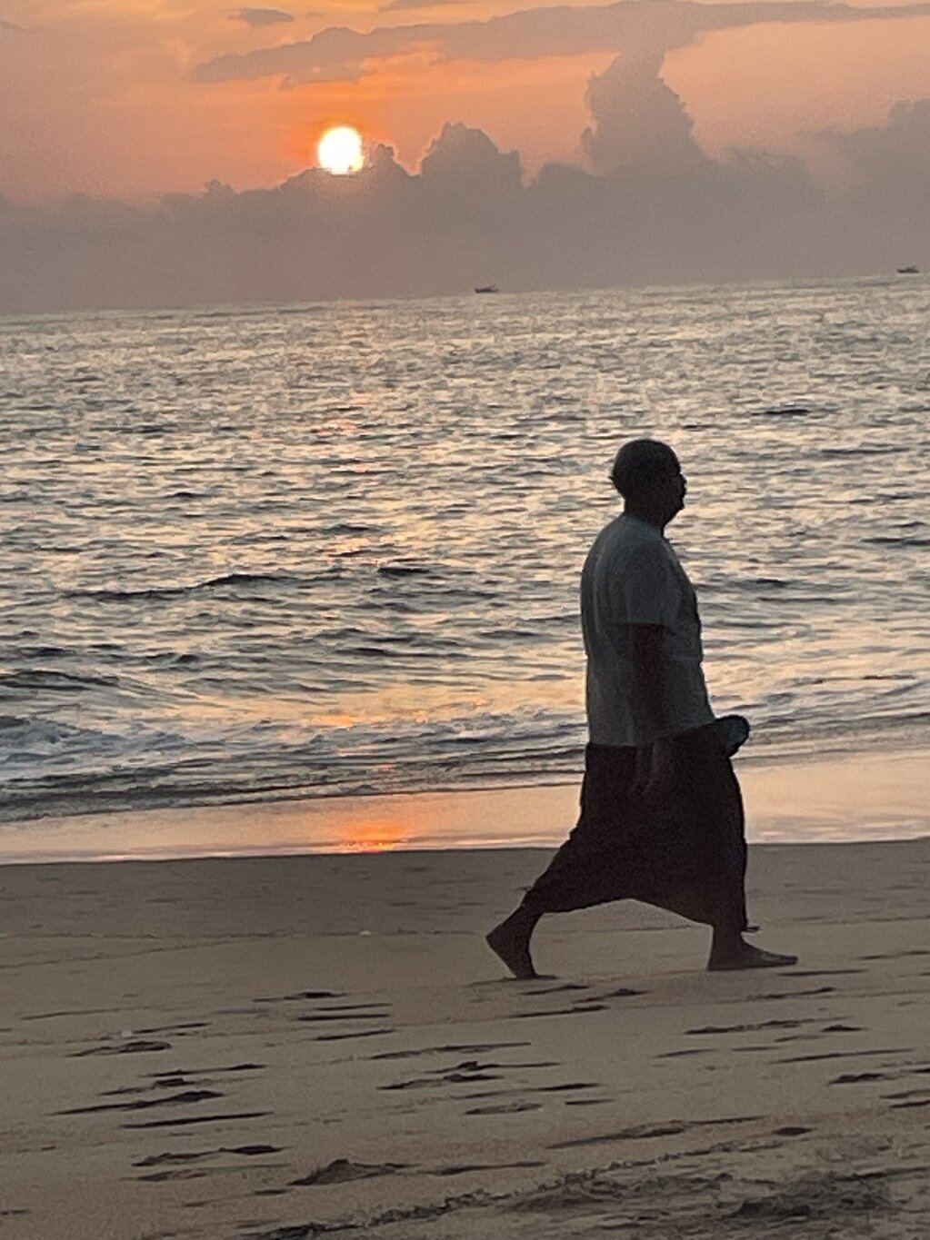 Meiveda Ayurveda Beach Resort-泳池