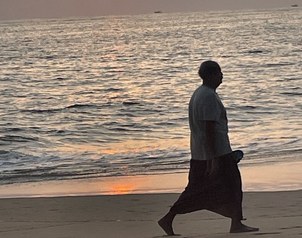 Meiveda Ayurveda Beach Resort主图